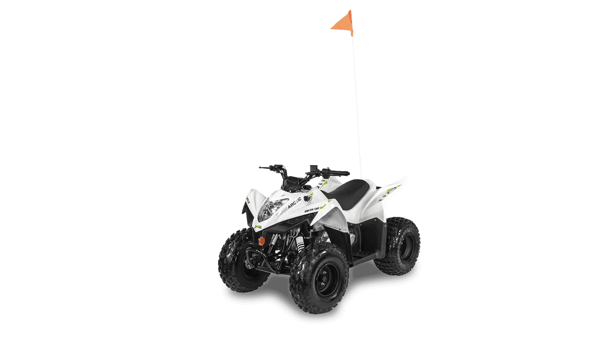Arctic Cat youth atvs